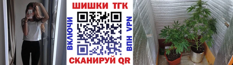 Купить где  Пенза  Каннабис конопля 